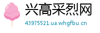 兴高采烈网